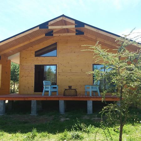 Cabanas Rincon Del Sur Cochrane Eksteriør bilde